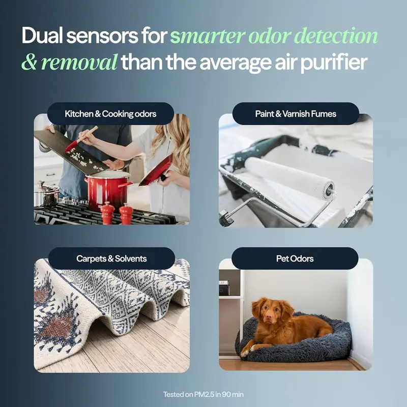 Blueair Blue Signature SP3i Tabletop Air Purifier – HEPASilent WiFi Model for Medium-Sized Spaces (498 sq ft), Optimized for Pet Hair Capture and Easy Desktop Placement
