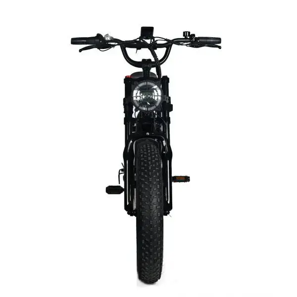 Shi Mano All-Terrain Fat-Tire E-Mountain Bike – 1000W Brushless Motor, 48V 20Ah Long-Range Battery, 45 MPH Top Speed