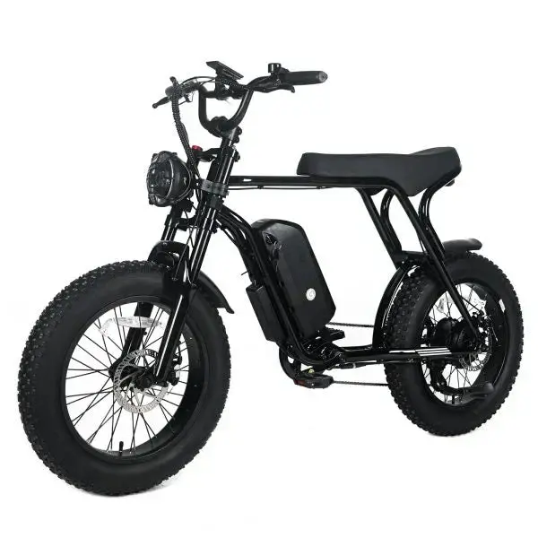 Shi Mano All-Terrain Fat-Tire E-Mountain Bike – 1000W Brushless Motor, 48V 20Ah Long-Range Battery, 45 MPH Top Speed